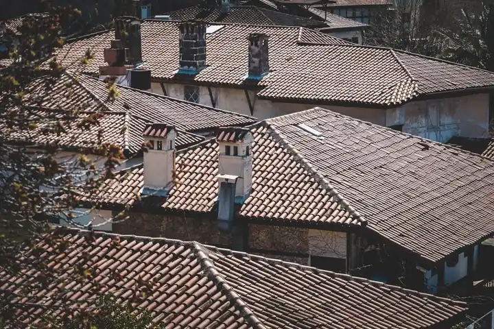 A collection of traditional tiled rooftops in a quiet residential neighborhood.