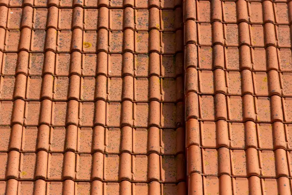 Close-up image showing classic terracotta roof tiles arranged in neat rows.